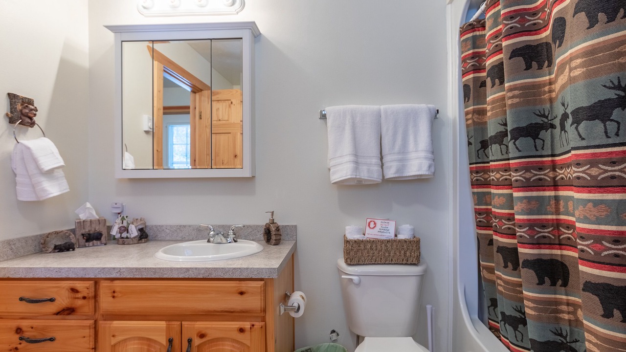 Photo of Bathroom in Island Park