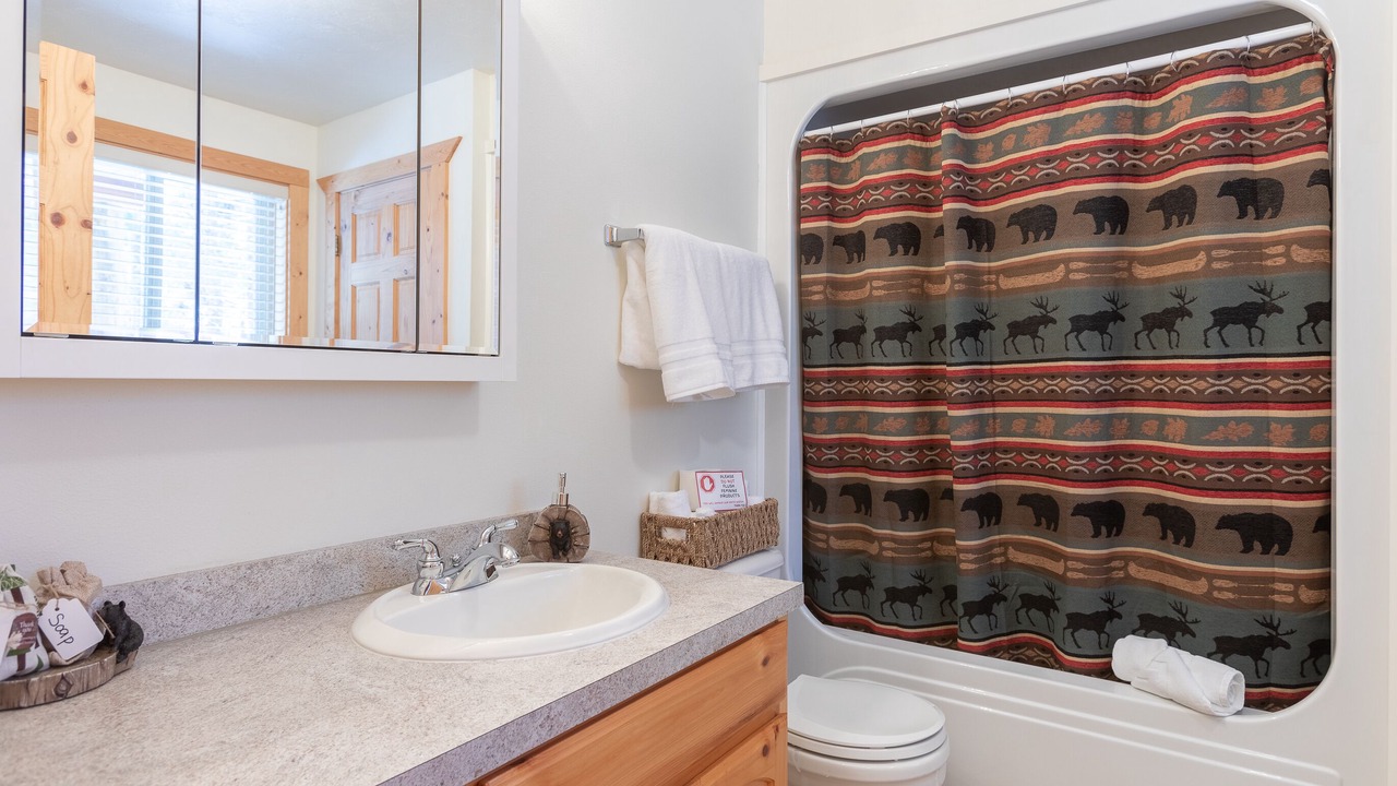 Photo of Bathroom in Island Park