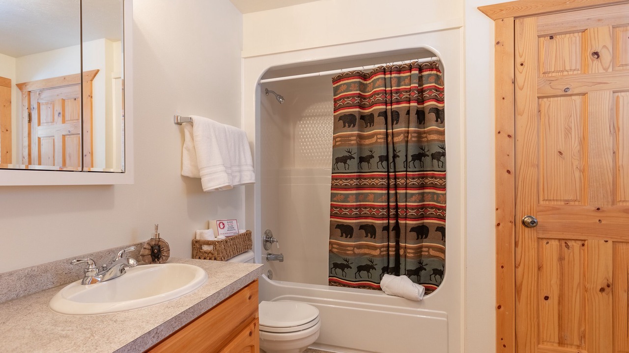 Photo of Bathroom in Island Park