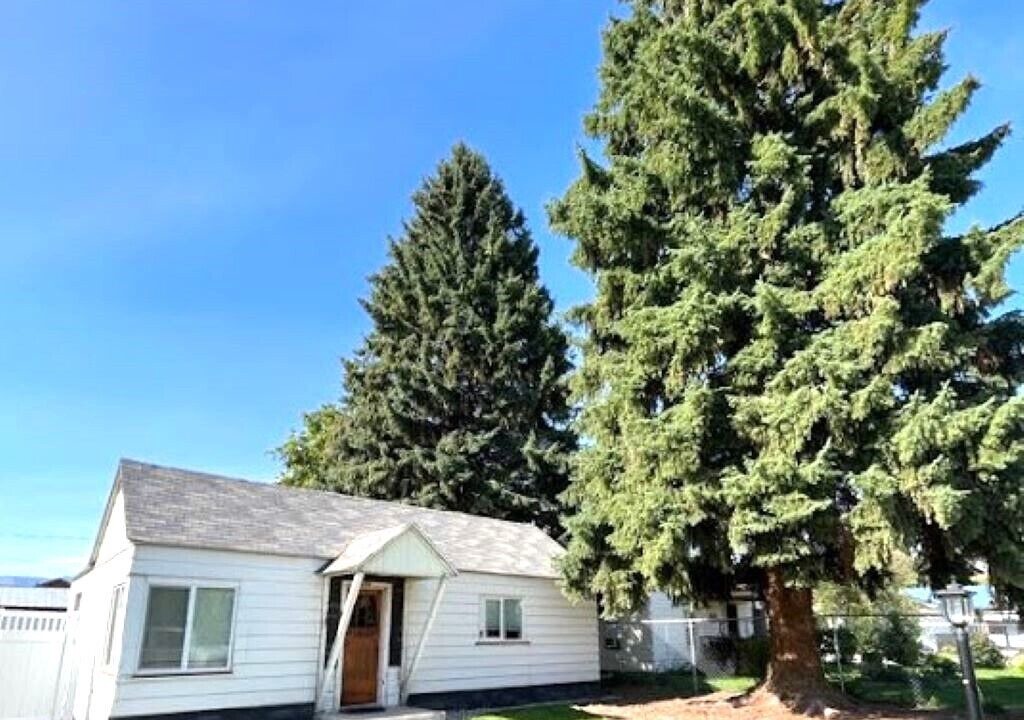 Photo of Outdoor in Salmon