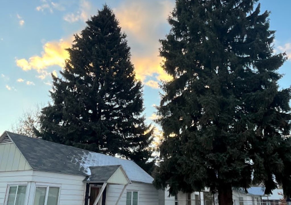 Photo of Outdoor in Salmon