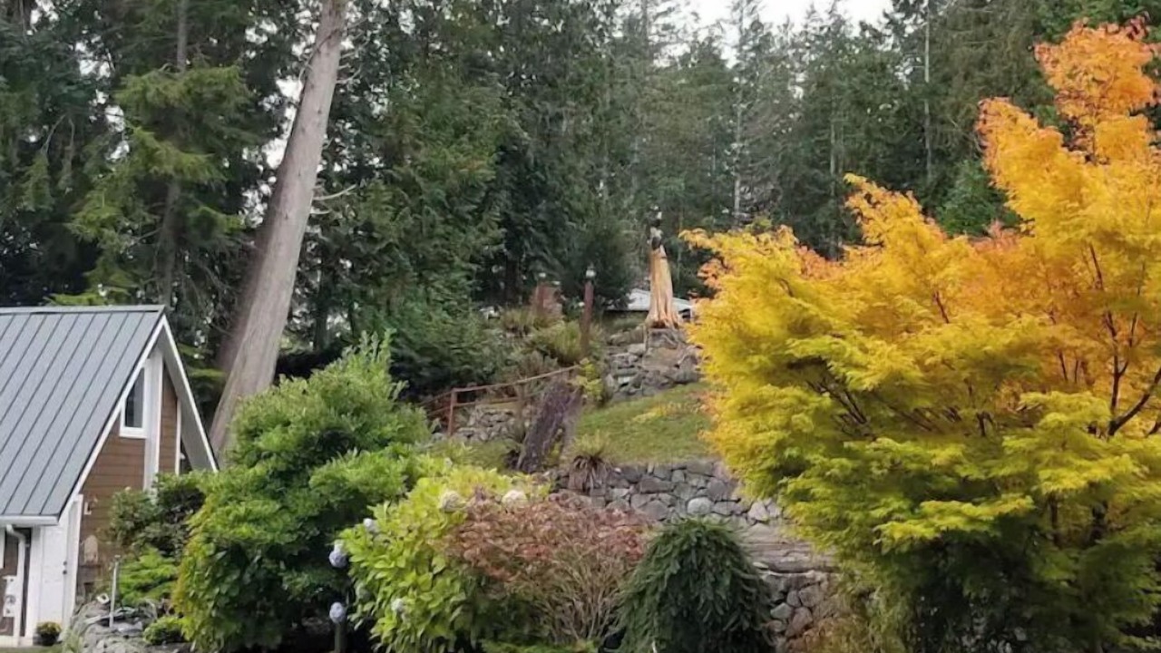 Photo of Outdoor in Lakebay