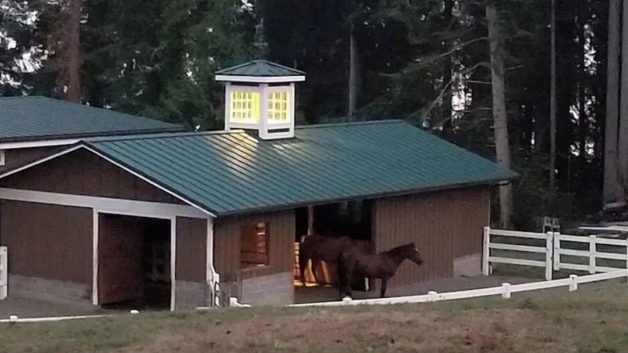 Photo of Outdoor in Lakebay