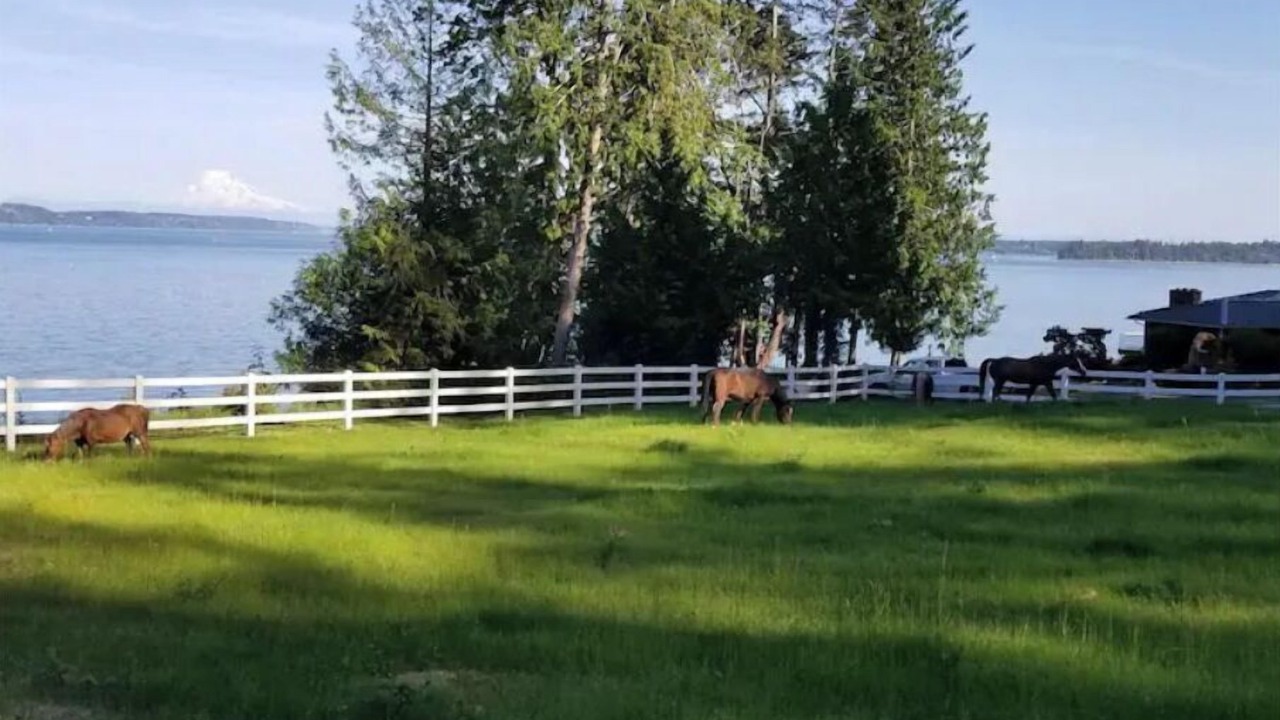 Photo of Outdoor in Lakebay
