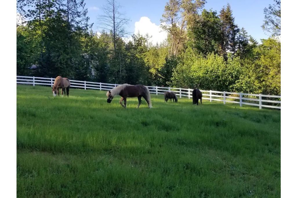 Photo of Outdoor in Lakebay