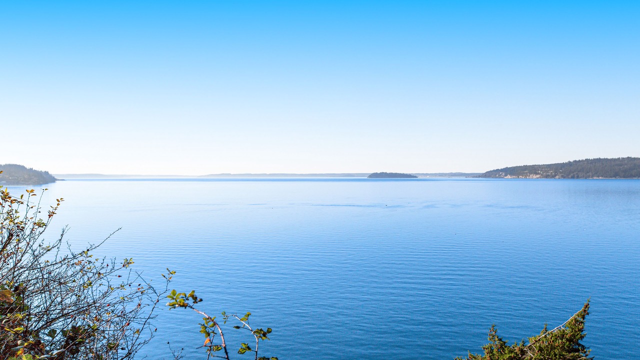 Photo of Others in Camano Island