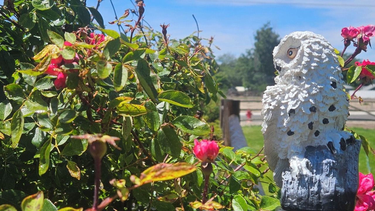Photo of Outdoor in Payette