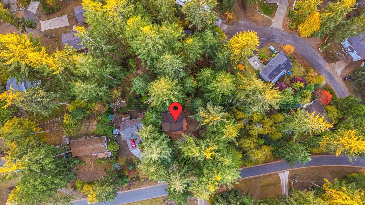 Photo of Outdoor in Lakebay