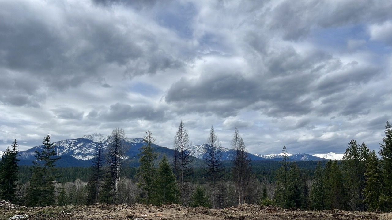 Photo of Outdoor in Libby
