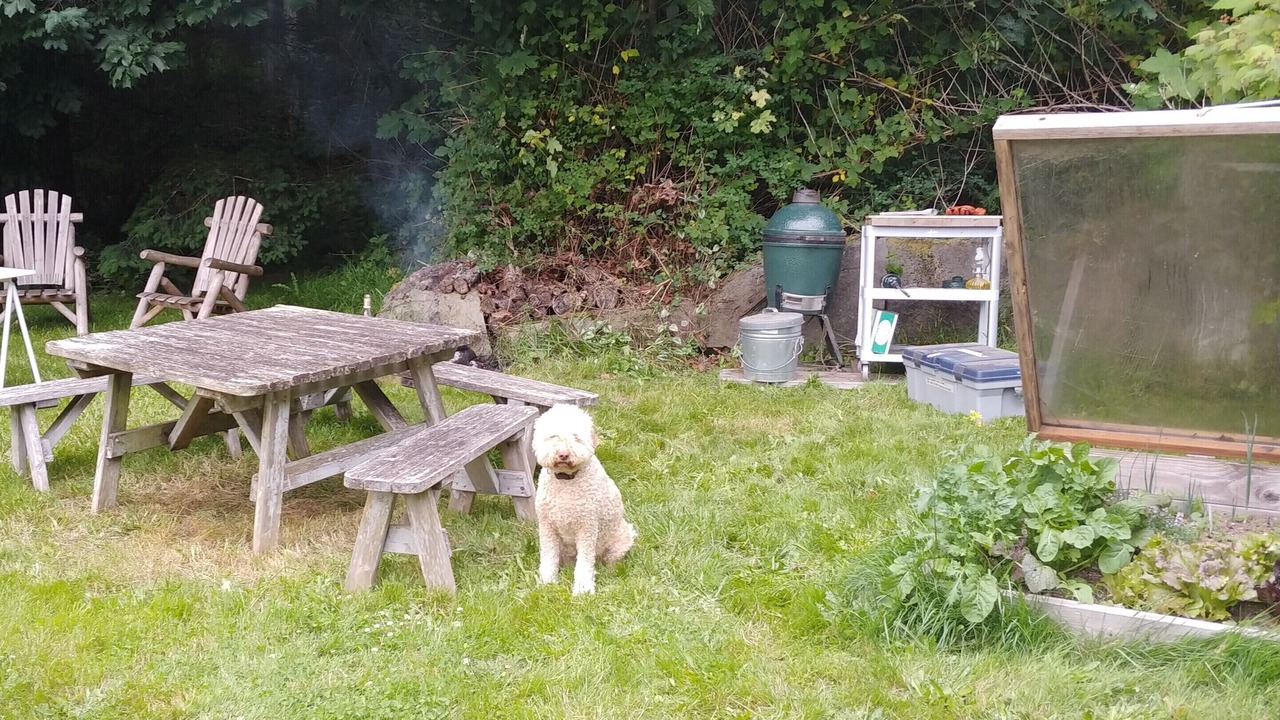 Photo of Outdoor in Lummi Island