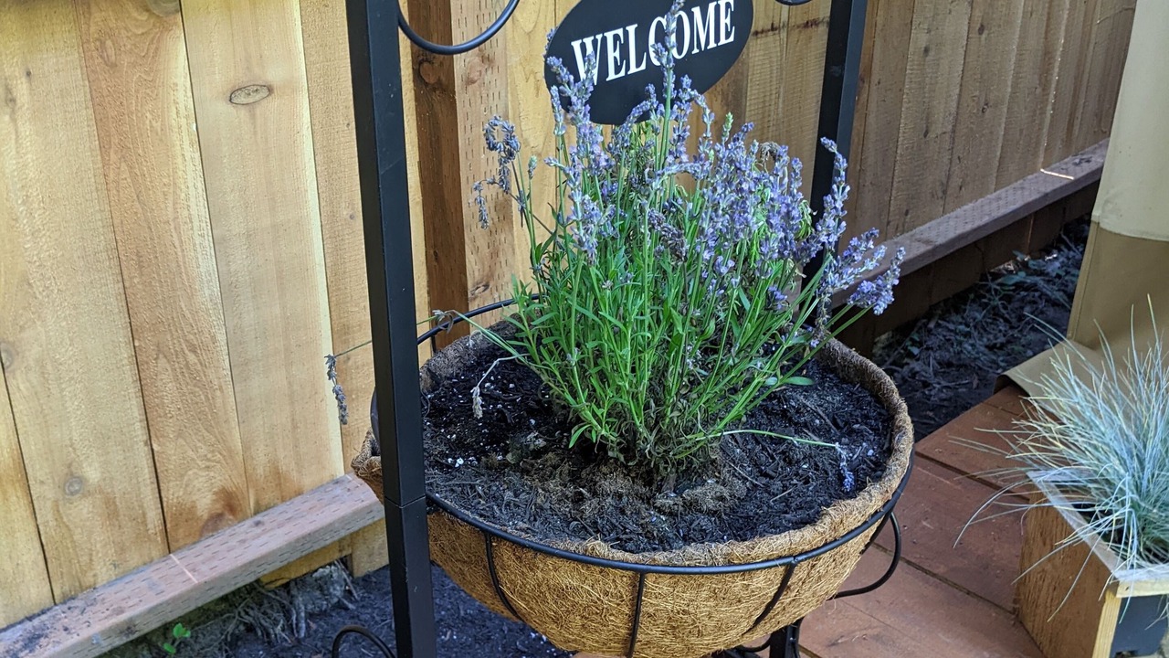 Photo of Outdoor in Sequim