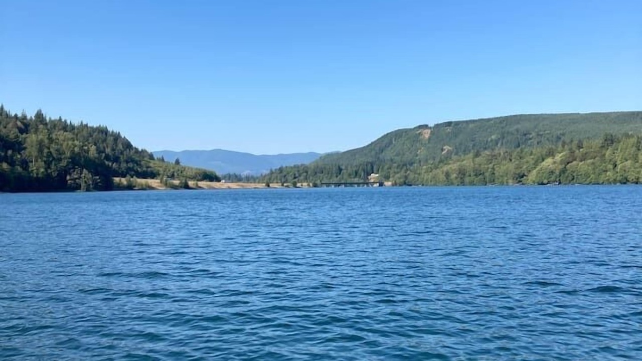 Photo of Others in Mossyrock
