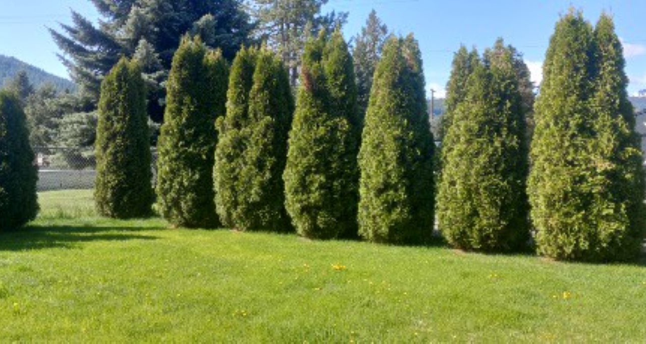Photo of Outdoor in Pinehurst