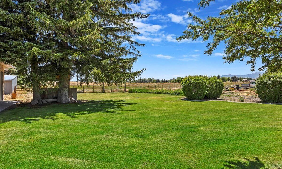 Photo of Outdoor in Burley