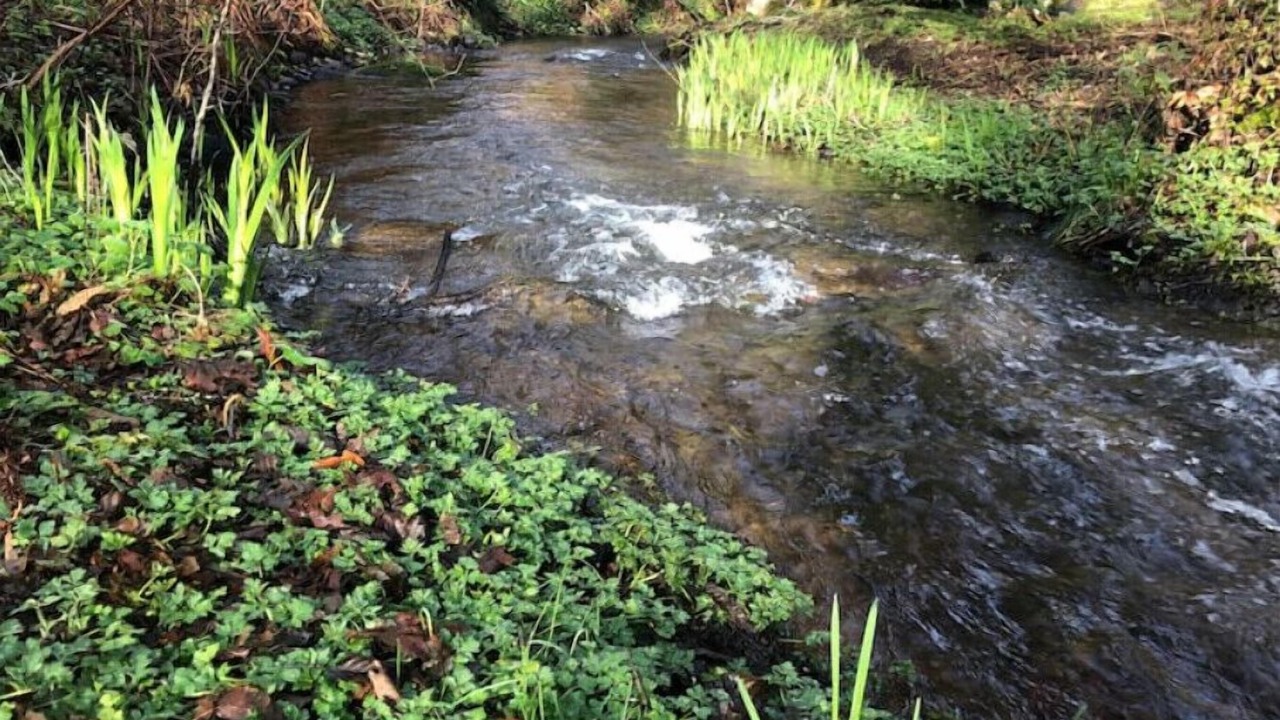 Photo of Outdoor in Mount Hood Village