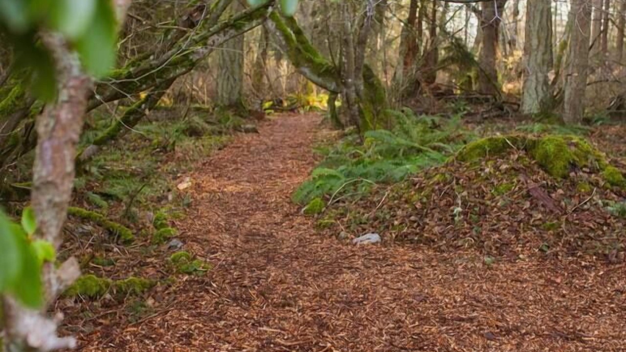 Photo of Outdoor in Lummi Island