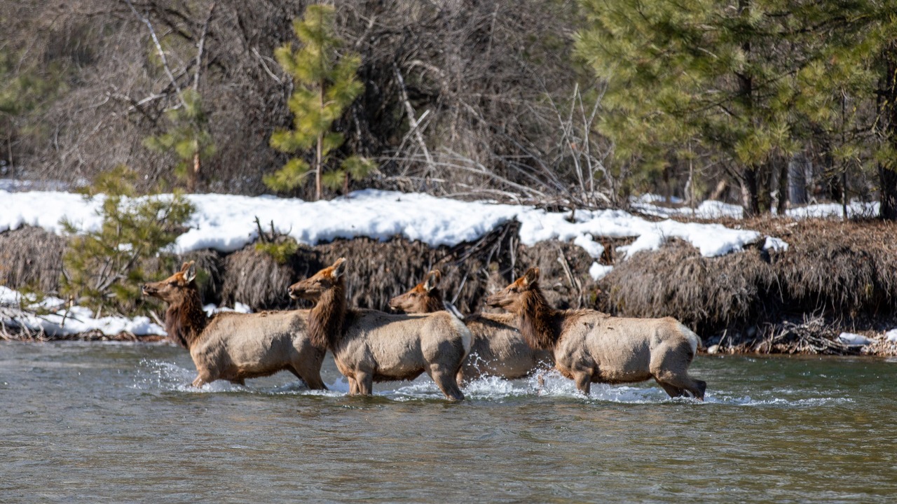 Photo of Others in Garden Valley