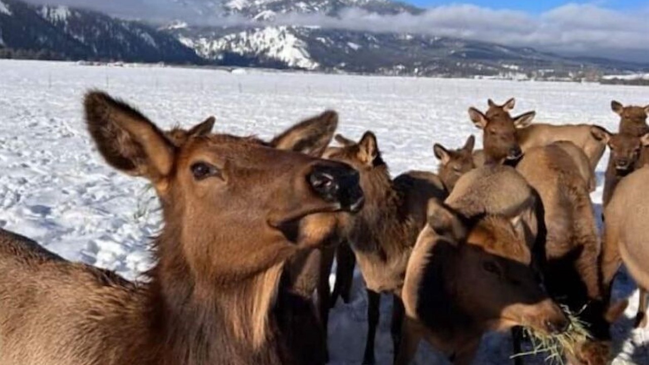 Photo of Others in Garden Valley