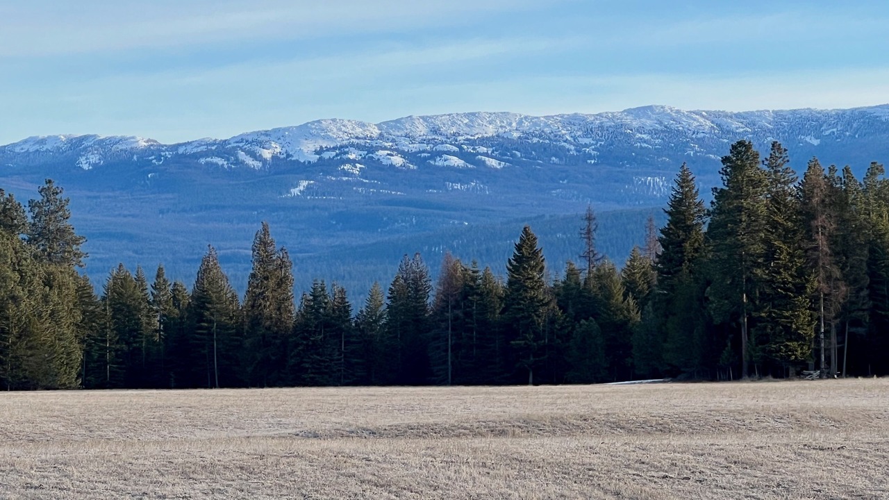 Photo of Others in Bonners Ferry