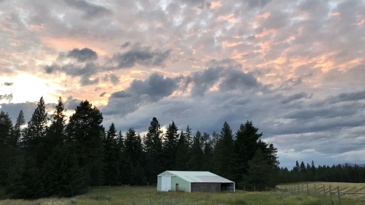 Photo of Others in Bonners Ferry