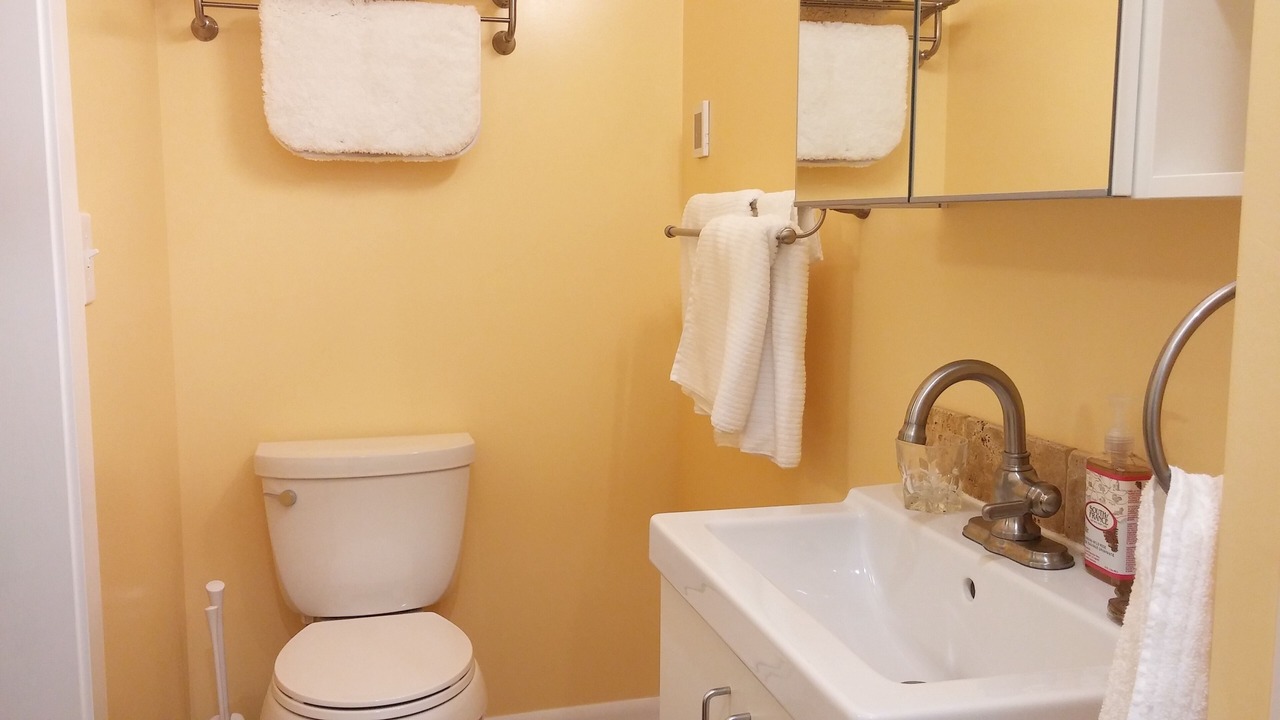 Photo of Bathroom in Lake Forest Park