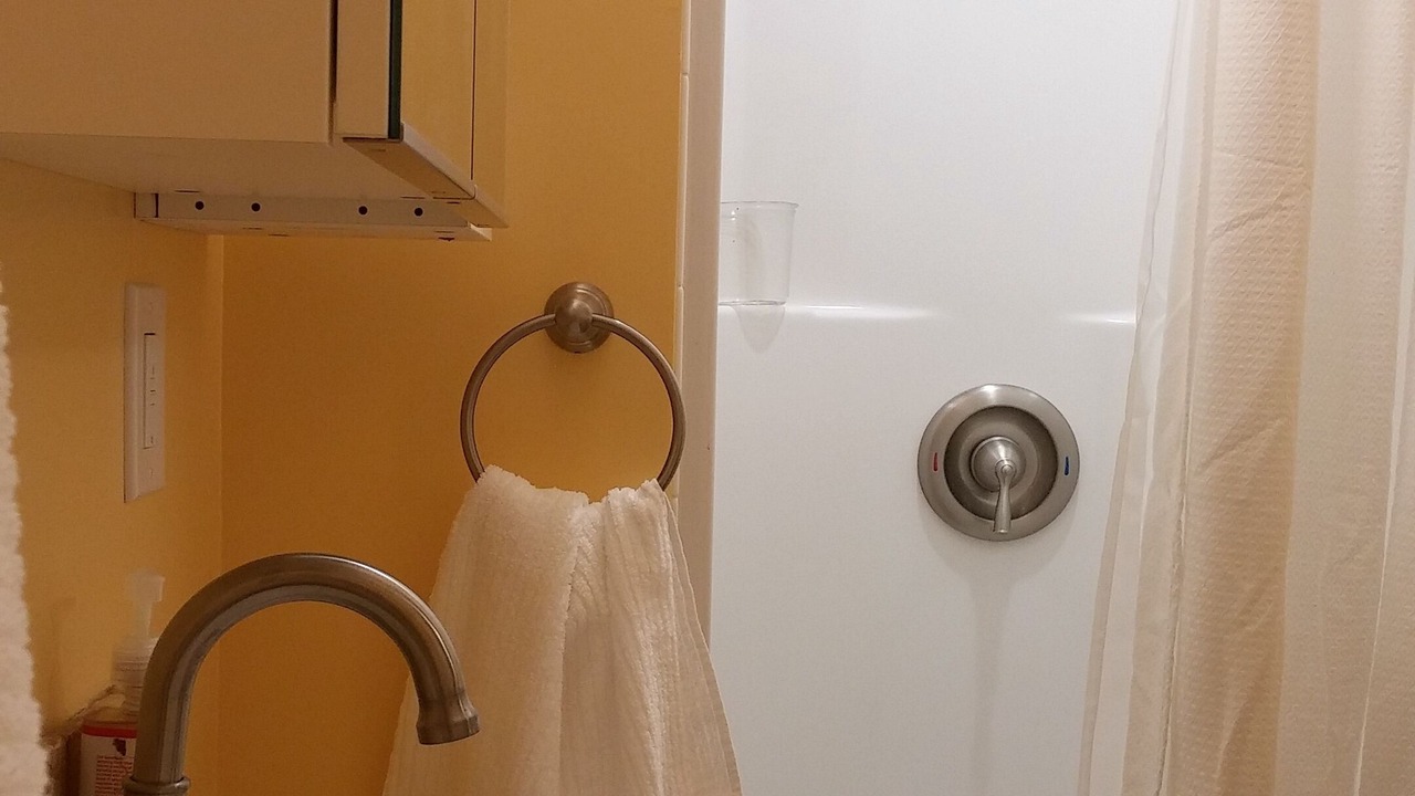 Photo of Bathroom in Lake Forest Park