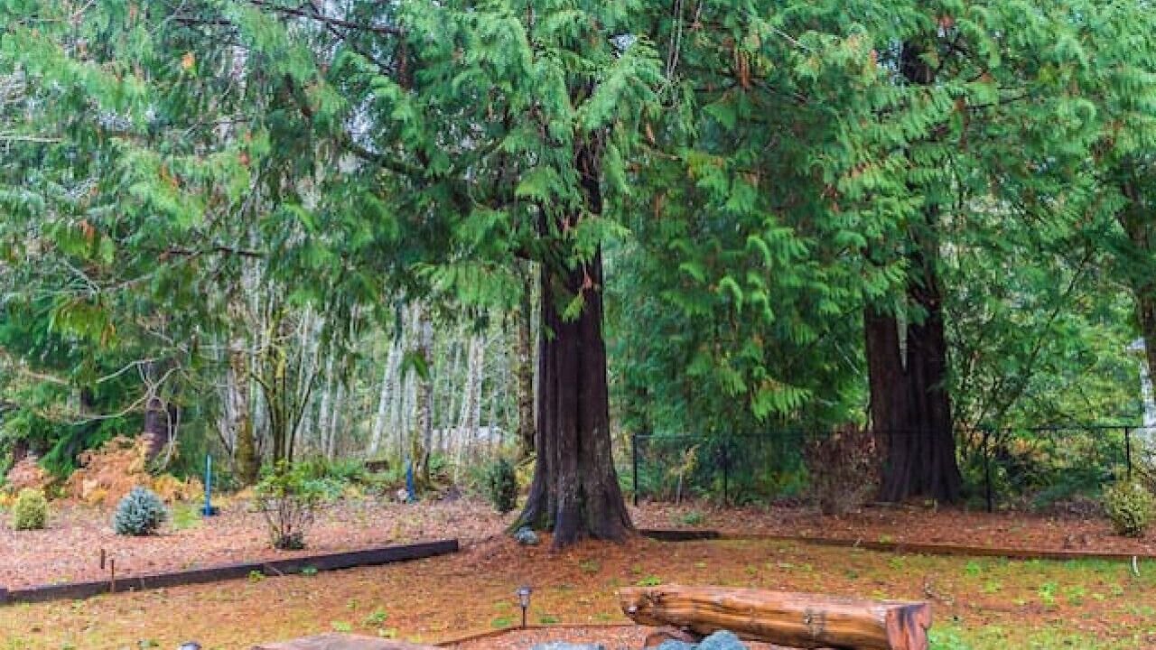 Photo of Outdoor in Beaver