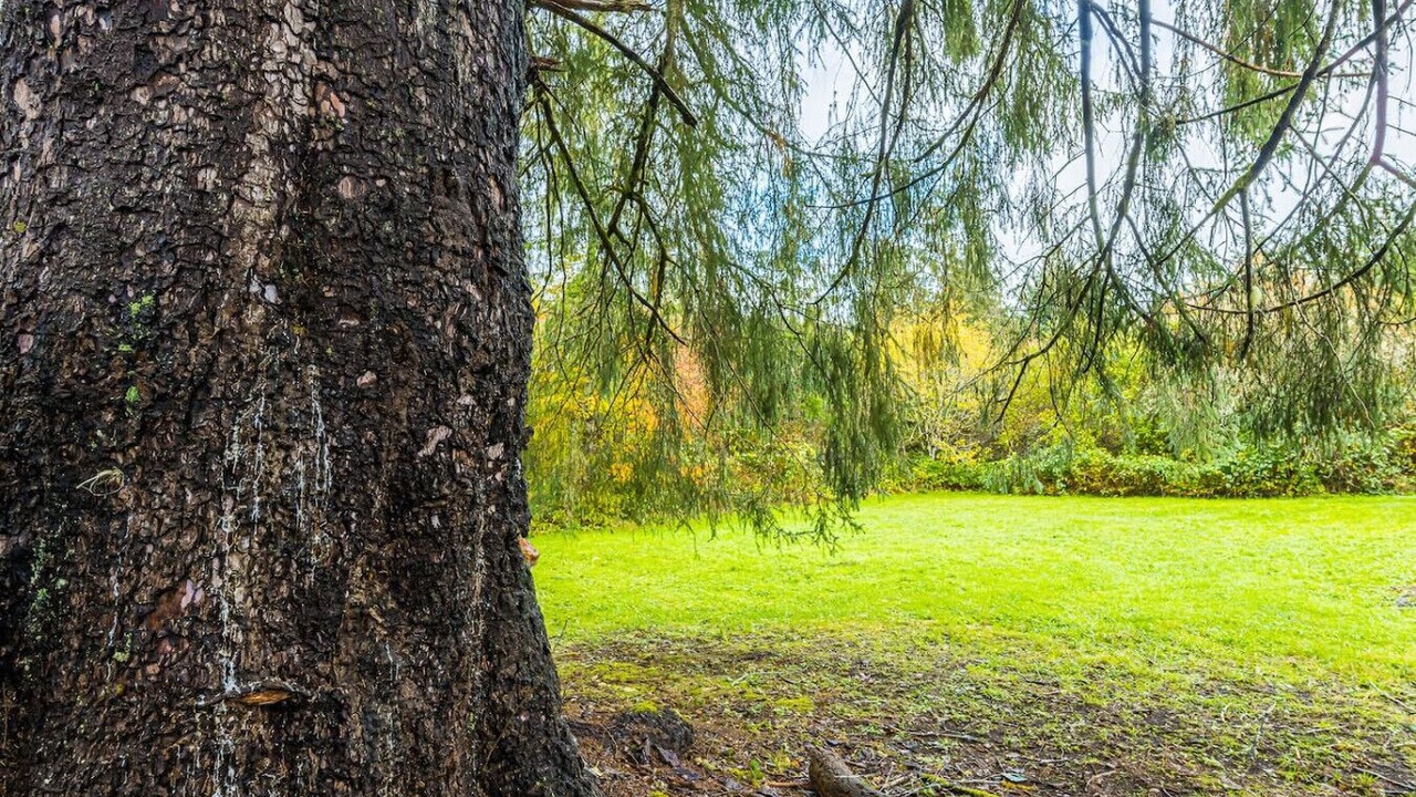 Photo of Outdoor in Beaver