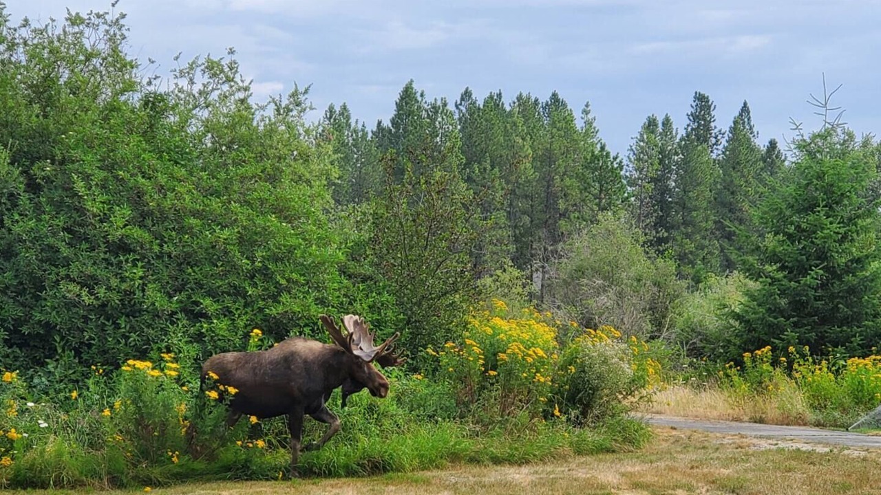 Photo of Others in Dover Bay