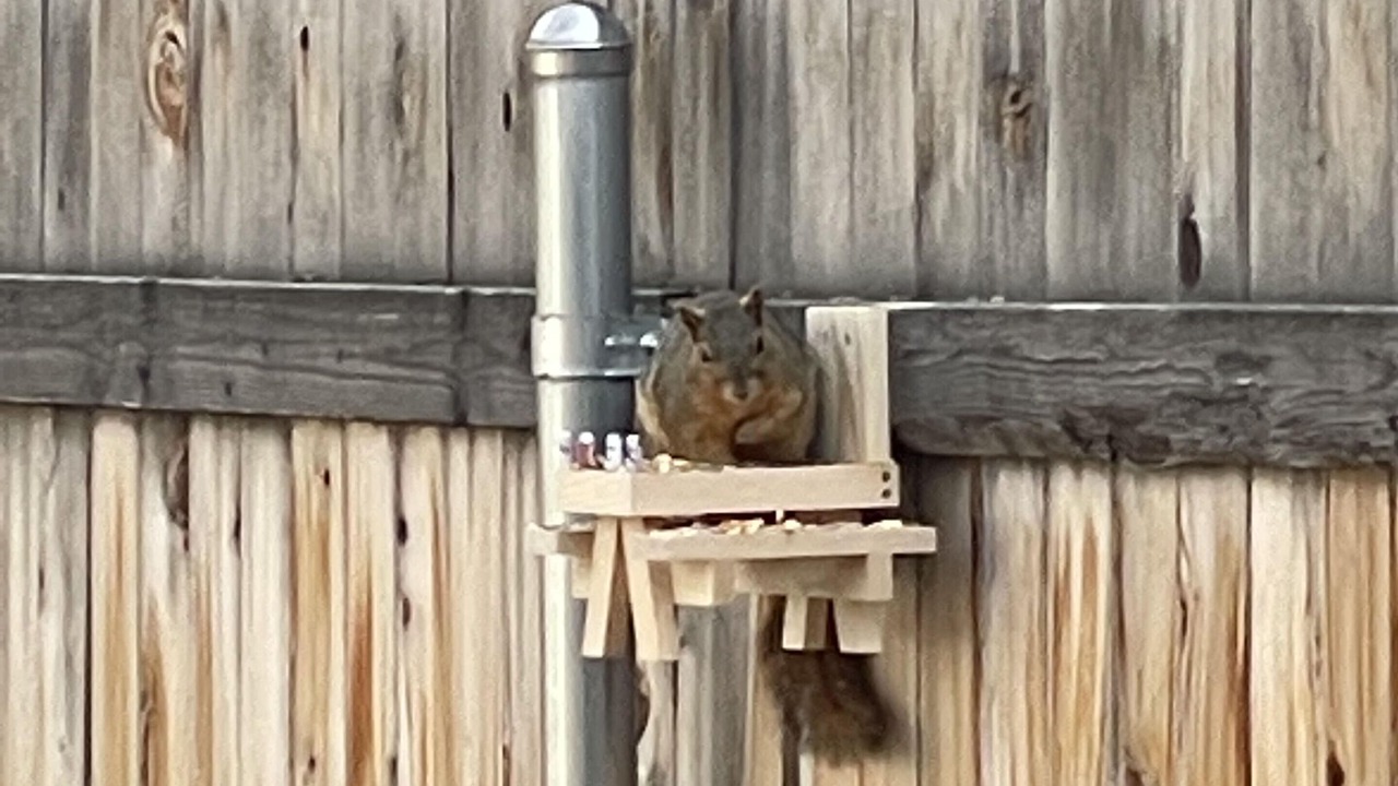 Photo of Outdoor in Boise Bench