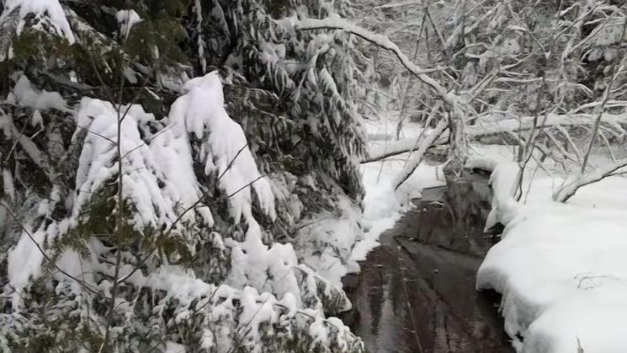 Photo of Others in Sandpoint