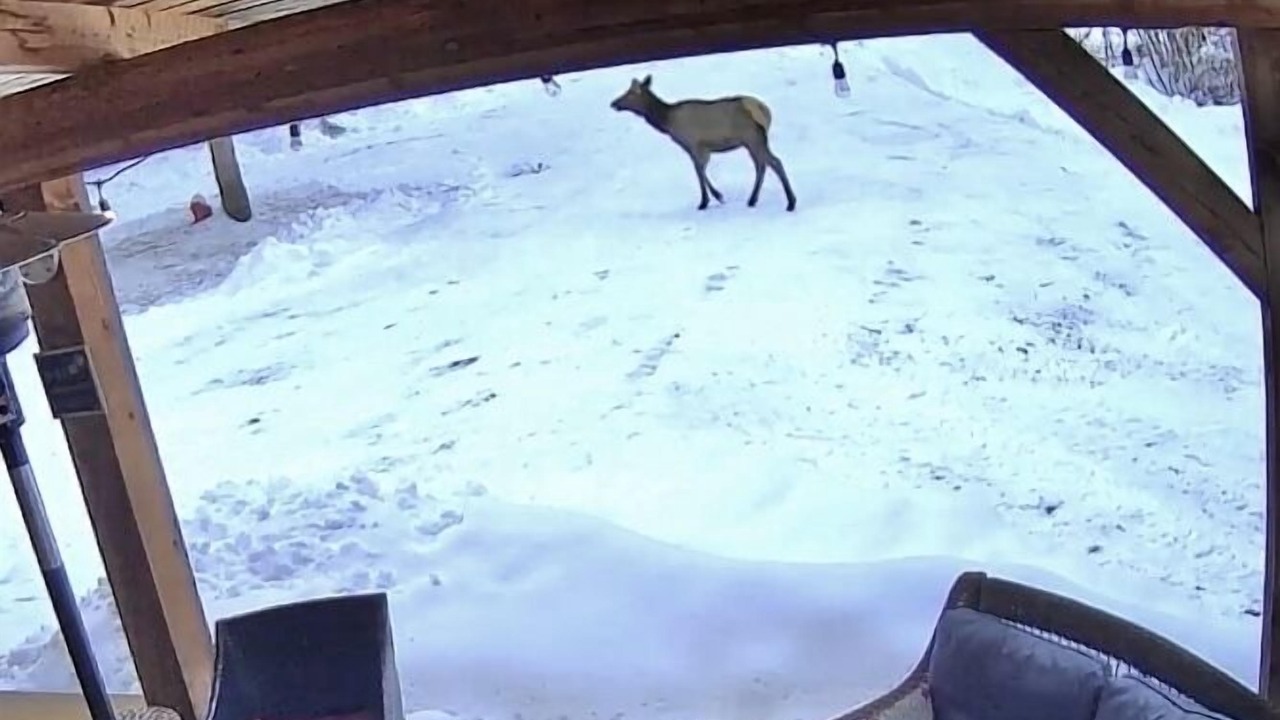 Photo of Others in Garden Valley