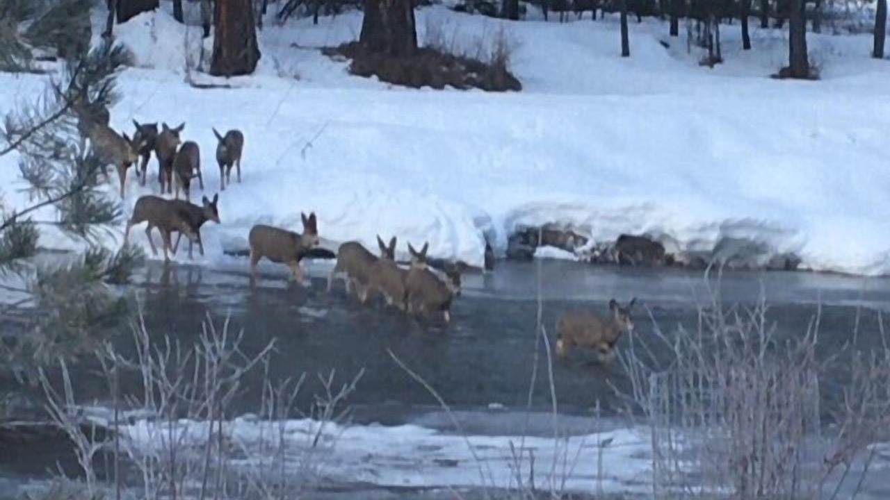 Photo of Others in Garden Valley