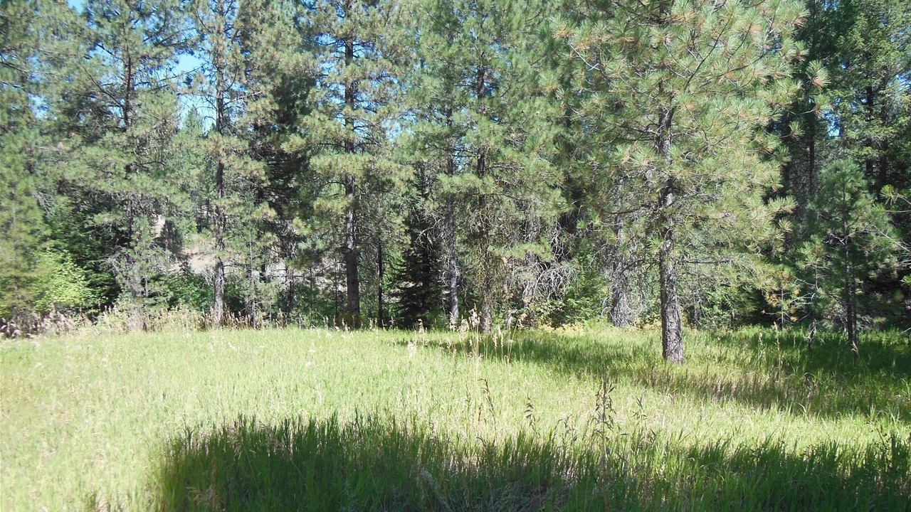 Photo of Others in Garden Valley