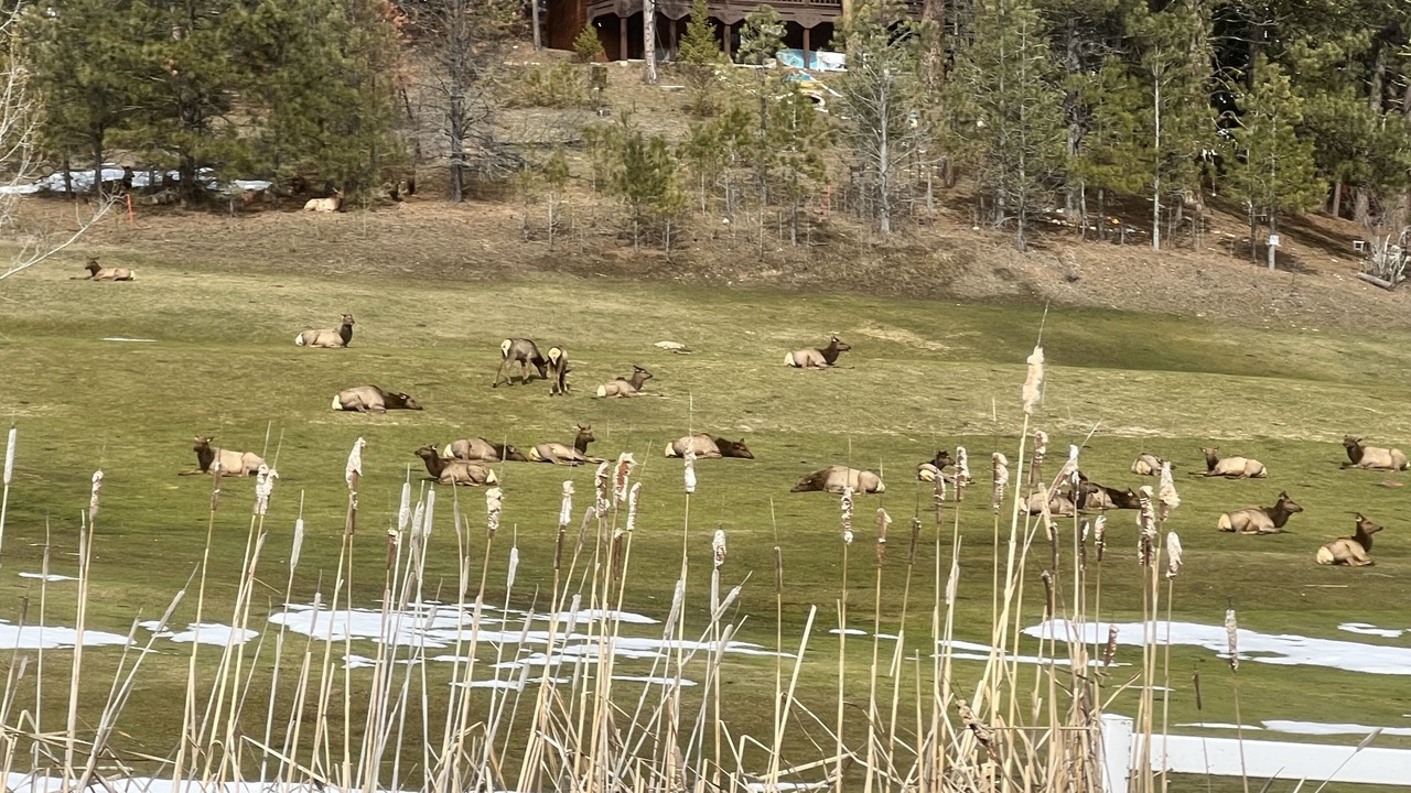 Photo of Others in Garden Valley