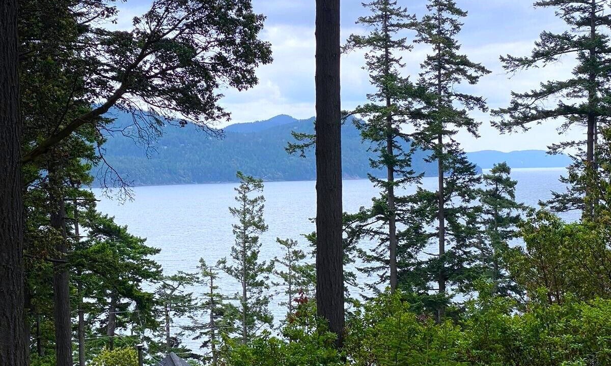Photo of Outdoor in Eastsound