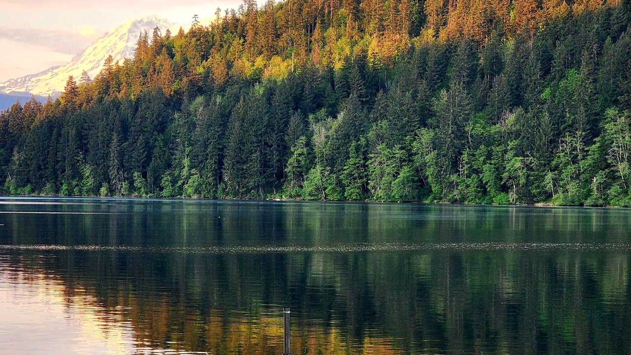 Photo of Outdoor in Mineral