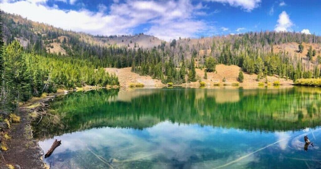 Photo of Others in Ketchum