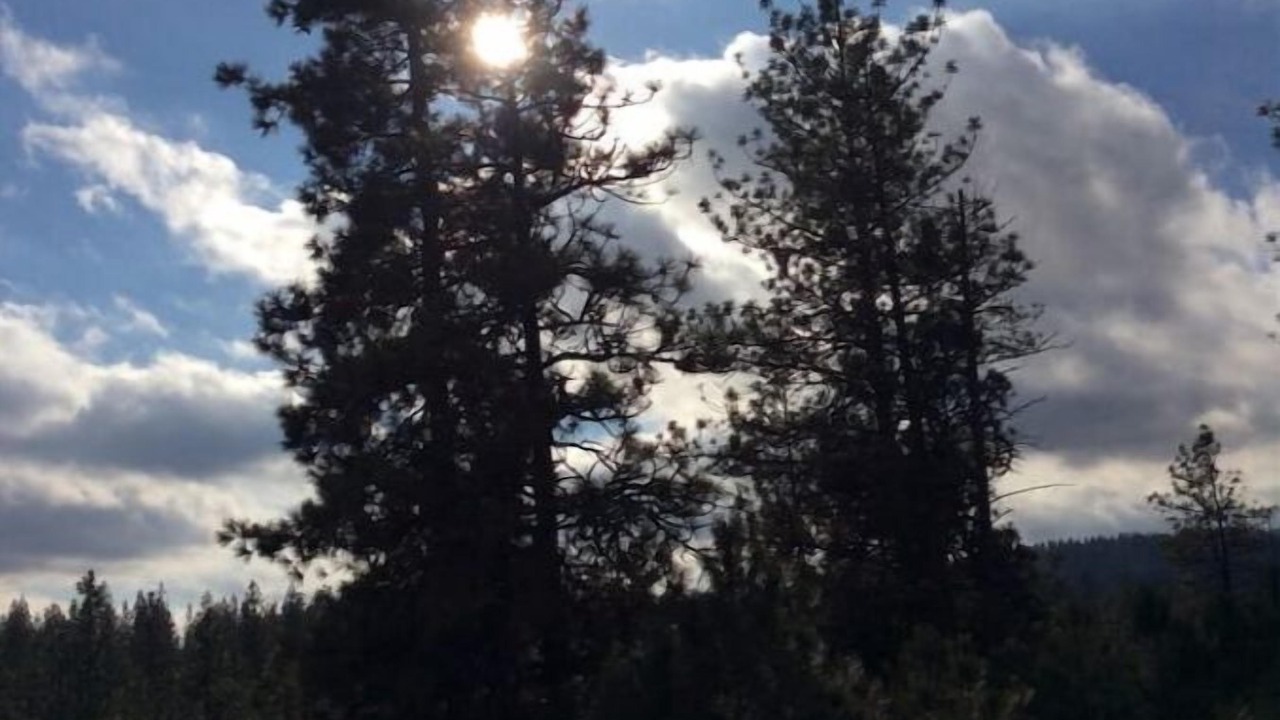 Photo of Others in Spokane