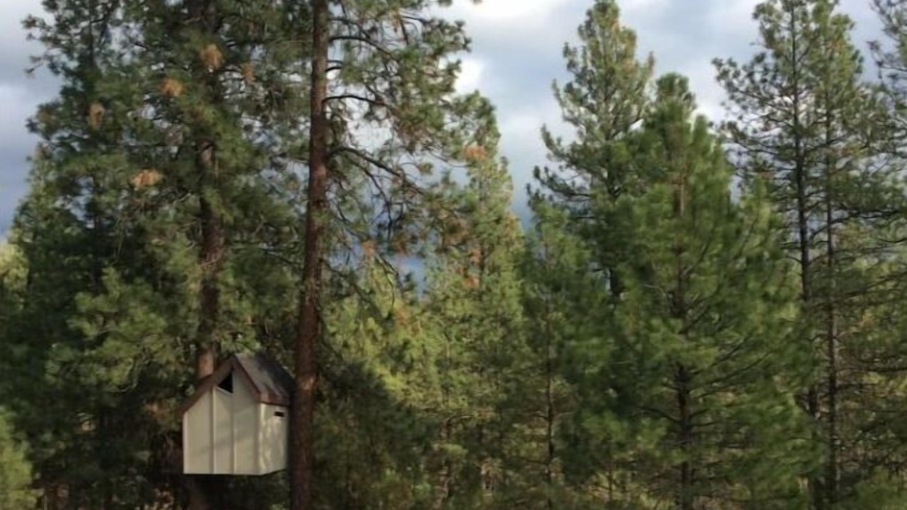 Photo of Others in Spokane
