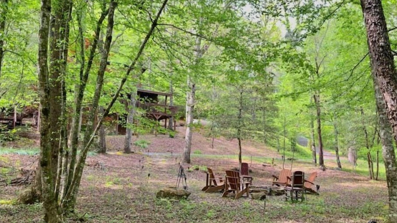 Photo of Outdoor in Ellijay