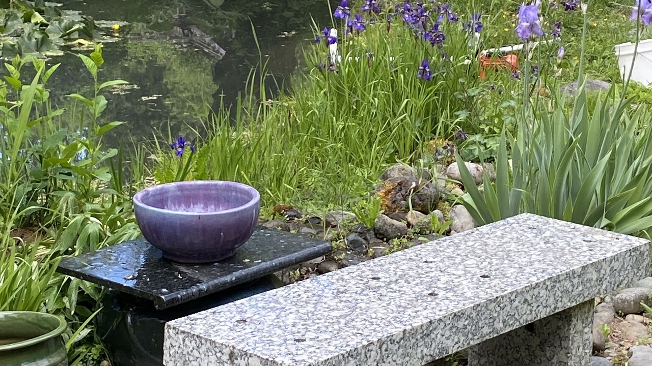 Photo of Outdoor in Sequim
