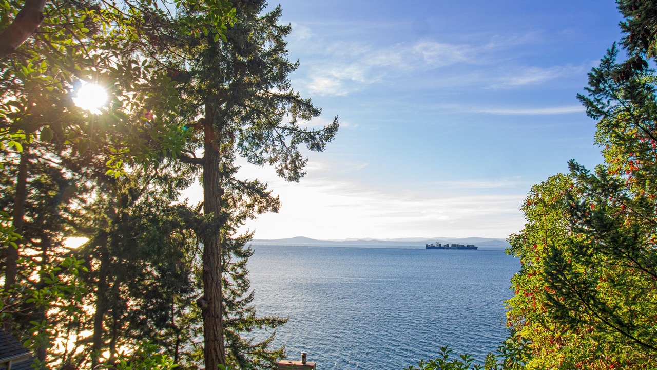 Photo of Others in Friday Harbor