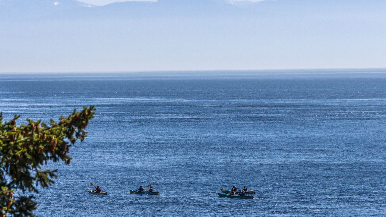 Photo of Others in Friday Harbor