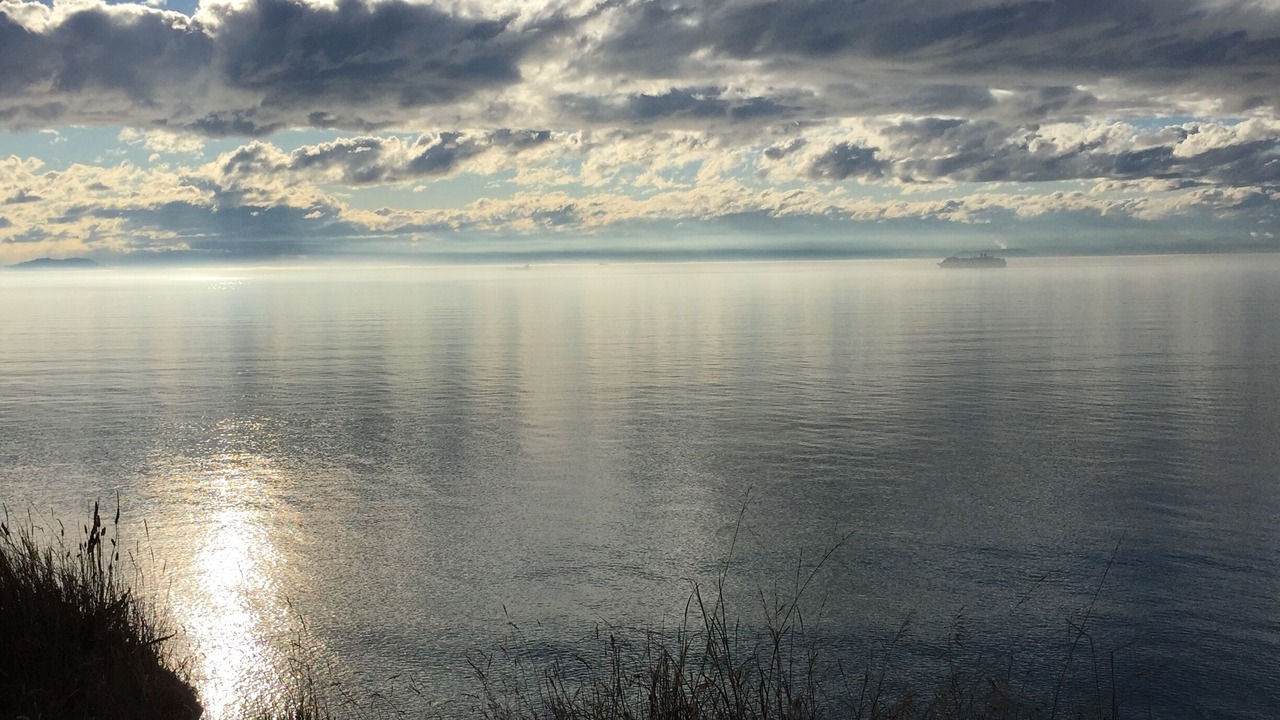 Photo of Others in Sequim