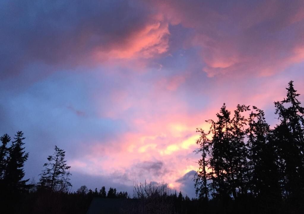 Photo of Others in Sequim