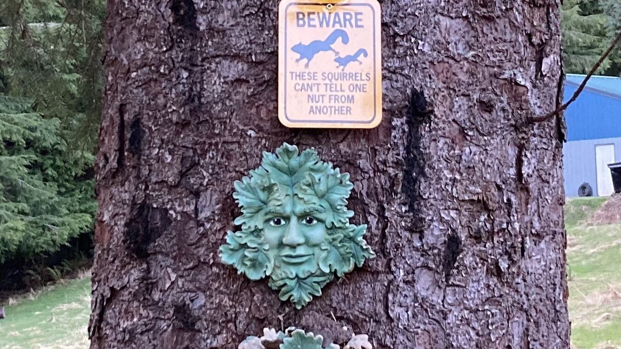 Photo of Outdoor in Forks