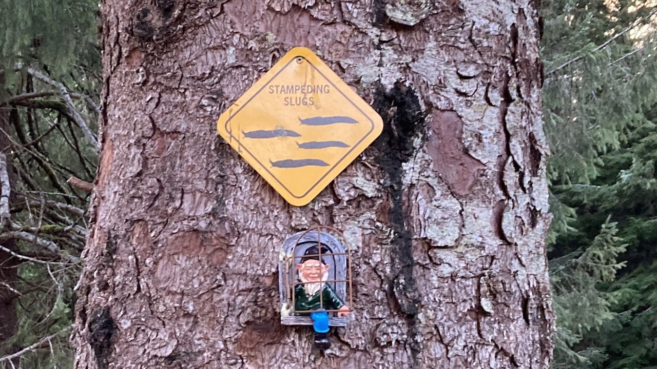 Photo of Others in Forks