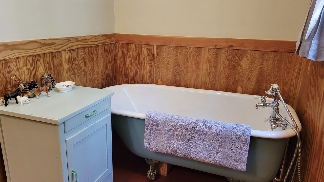 Photo of Bathroom in Mazama
