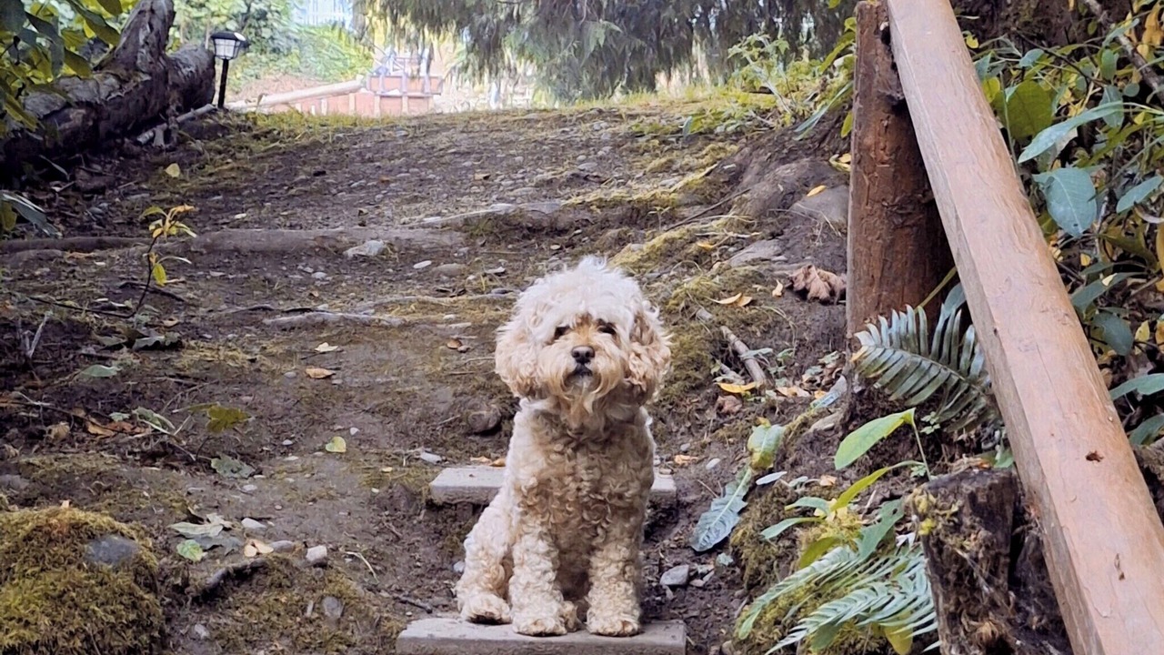 Photo of Outdoor in Port Angeles